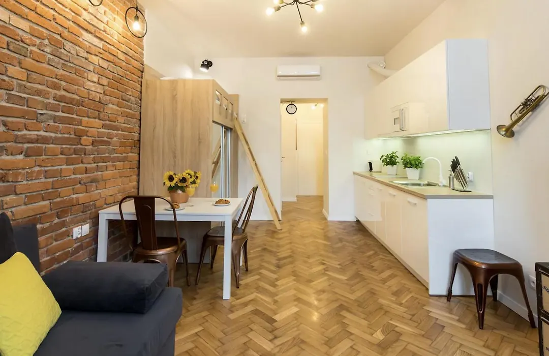 Studio Apartment - Centre Of Krakow - Starowislna 54-1